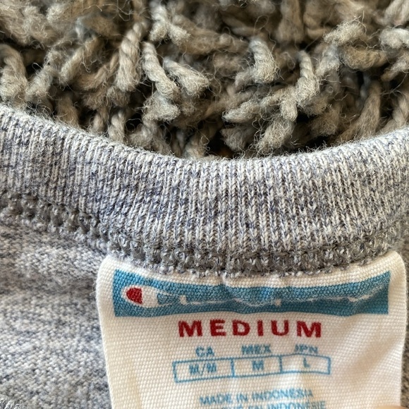 Champion Gray Short Sleeve Crop Top Tee Size Medium - Picture 5 of 8